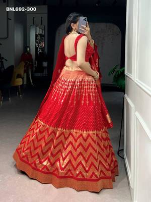 red silk blend hand woven lehenga choli 2