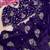 Purple Color Hand And Sequince Work Satin Saree