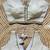 White silk blouse for women zari saree blouse