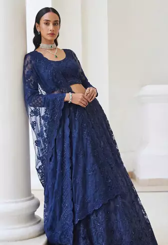 Blue Butterfly Net fabric with Embroidered, Resham, Sequence, Thread work Lehengas For Your Wedding Look