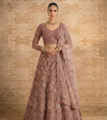 Pink Butterfly Net fabric with Embroidered, Resham, Sequence, Thread work Lehengas For Your Wedding Look For Women's