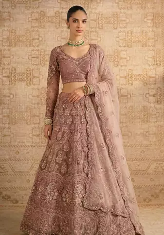 Pink Butterfly Net fabric with Embroidered, Resham, Sequence, Thread work Lehengas For Your Wedding Look For Women's