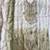 Designer green ombre straight suit for women with hand embroidery