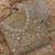 Mustard bandhani printed heavy emrboidery worked sharara suit ethnic wear