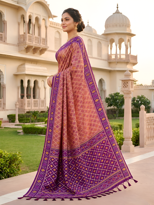 Onion pink patola silk saree with zari weaving meenakari patola design 2