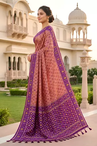 Onion pink patola silk saree with zari weaving meenakari patola design