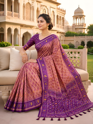 Onion pink patola silk saree with zari weaving meenakari patola design 3