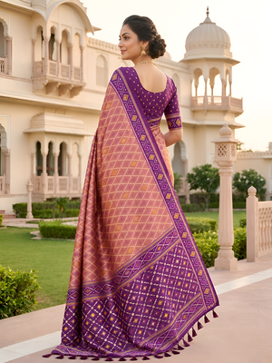Onion pink patola silk saree with zari weaving meenakari patola design 5