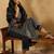 Floral printed regular pure cotton straight kurta with trousers & dupatta