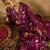 Burgundy floral printed v-neck sequinned pure cotton straight kurta set