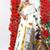 Women ethnic motifs printed zari traditional kasavu saree