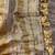 New Designer Premium Tissue Women's Saree With Blouse Set