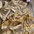 New Designer Premium Tissue Women's Saree With Blouse Set