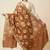 Banarasi pure chiniya silk dupatta in brown colour with zari work