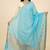 Banarasi pure chiffon silk dupatta in skyblue colour with zari work