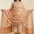 Banarasi pure khaddi georgette silk dupatta in yellow colour with multicolour work