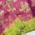 Olive Color Printed,zari border Work Silk Blend Saree
