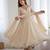 Cream faux georgette gota flared gown set