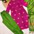 Rani jaquard  kanchi cotton with jari work kurti dupatta pant  set