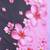 Purple elegant printed georgette saree with blouse piece