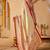 Cream printed art silk traditional saree with blouse piece