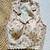 Off white printed cotton designer sleeveless readymade saree blouse for women party festive wear