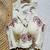 Off white floral embroidered cotton designer sleeveless readymade saree blouse for women festive wear