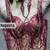 Magenta zari woven jacquard silk designer readymade saree blouse for women wedding party wear