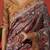 Brown elegant printed silk cotton saree with blouse piece