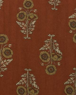 Philauri women's brown printed short kurti 5