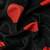Black elegant printed silk cotton saree with blouse piece