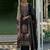 Floral printed sweetheart neck mirror work straight kurta with palazzos & dupatta