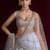 Grey Embroidered Lehenga Choli Set with Net Dupatta