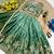 Mint green chinon silk forest embroidered work kids lehenga choli
