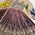 Brown chinon silk heavy sequence embroidered work kids wedding lehenga choli