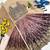 Brown chinon silk heavy sequence embroidered work kids wedding lehenga choli