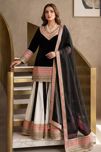 Elegant black sharara suit with heavy embroidered border dupatta