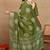 Mirchi fashion women's green floral printed cotton silk,silk blend saree with unstitched blouse piece