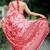 Mirchi fashion women's coral red floral printed chiffon saree with unstitched blouse piece
