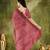 Brown color chiffon fabric designer printed ready to wear ethnic party saree