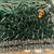 Green color elegant space silk fabric rich looks embroidered saree