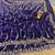 Purple color elegant space silk fabric rich looks embroidered saree