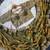 Olive Color Embroidery theard Work Satin Saree