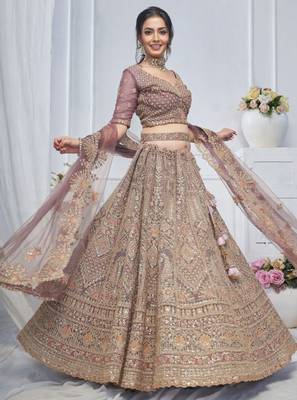 Embroidered Net Sequinned Semi-Stitched Lehenga & Unstitched Blouse With Dupatta 1
