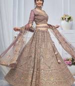 Embroidered Net Sequinned Semi-Stitched Lehenga & Unstitched Blouse With Dupatta
