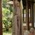 Coffee jaquard kanchi cotton round neck kurti dupatta set