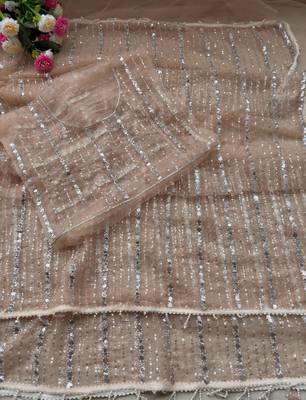 Cream Color Beads Work Net Saree 2