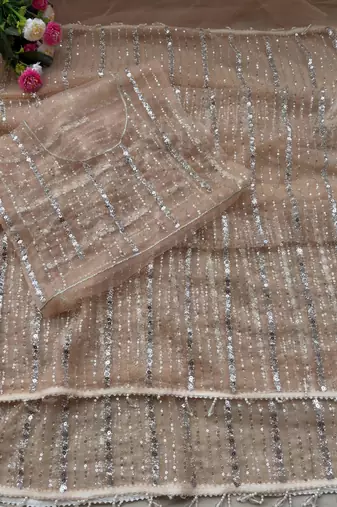 Cream Color Beads Work Net Saree