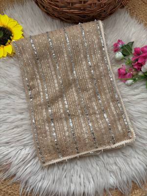 Cream Color Beads Work Net Saree 3