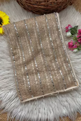 Cream Color Beads Work Net Saree